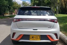 Byd Dolphin, 2023