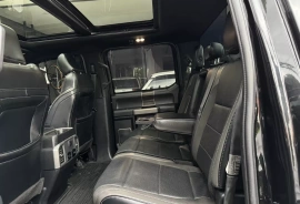 Raptor Blindaje 2 Plus, 2019
