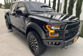 Raptor Blindaje 2 Plus, 2019