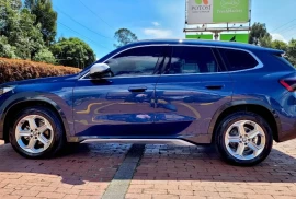 BMW X1 1.5 F48 Sdrive 18i, 2023