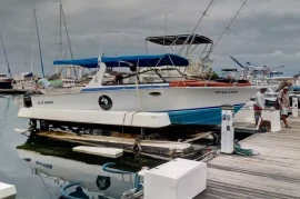 Marlin 28, 2004