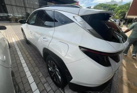 Hyundai Tucson 2.0 Gls Limited, 2023