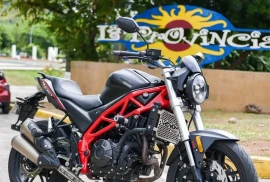 Victory Black Line Venom, 2023