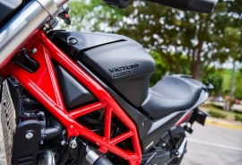 Victory Black Line Venom, 2023