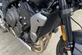 Triumph Trident 660 , 2024