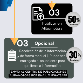 Alternativas para prestar el servicio Alternativas para prestar el servicio
